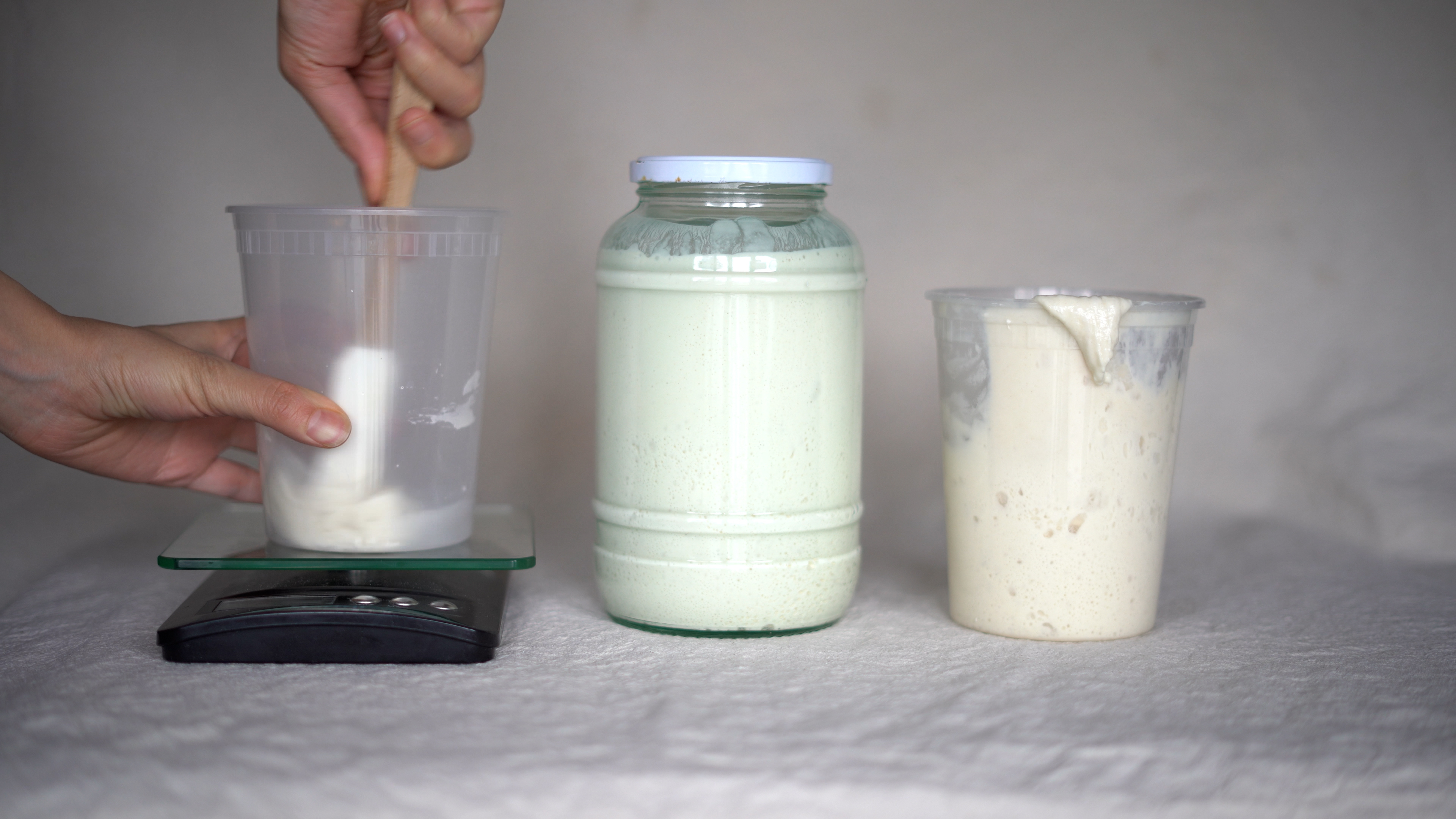 Feeding Sourdough Starter